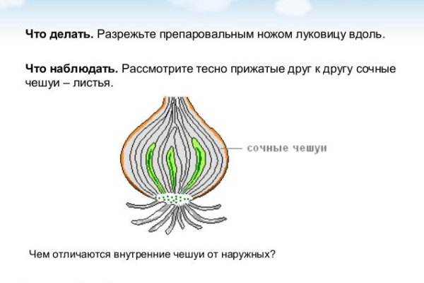 BlackSprutruzxpnew4af onion com блэкспрут сайт