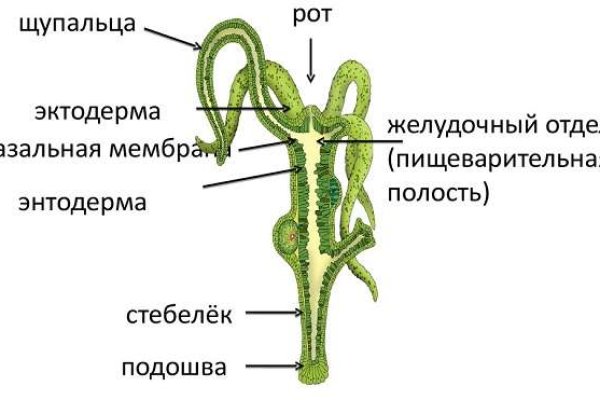 Кракен рабочий сайт