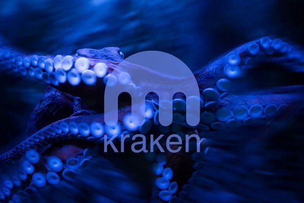 Официальная ссылка на kraken через тор